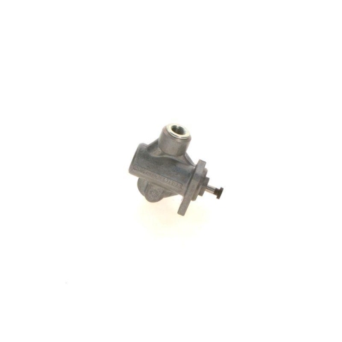 BOSCH Kraftstoffpumpe 0 440 017 032