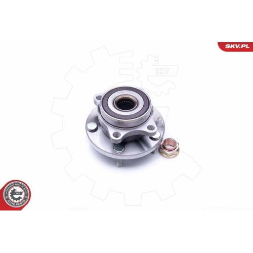 ESEN SKV Radlagersatz 29SKV248