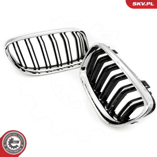 ESEN SKV Kühlergitter