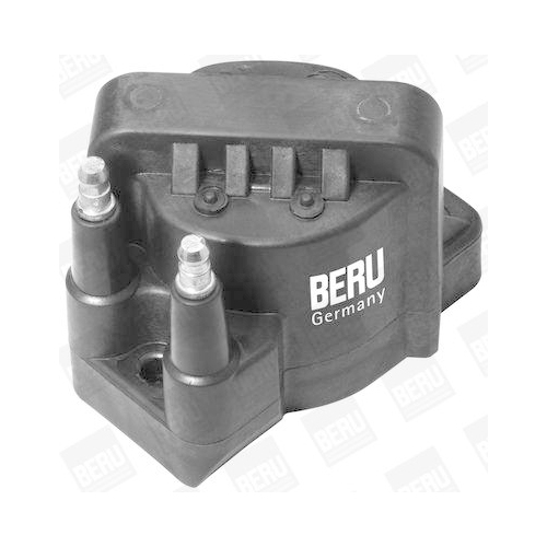 BorgWarner (BERU) Z&uuml;ndspule ZS355