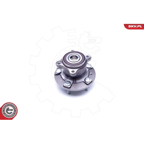 ESEN SKV Radlagersatz 29SKV249