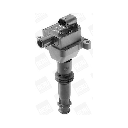 BorgWarner (BERU) Z&uuml;ndspule ZS361