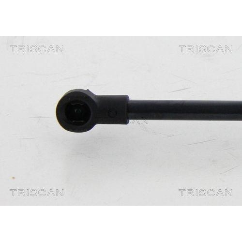 TRISCAN Gasfeder, Koffer-/Laderaum 8710 24255