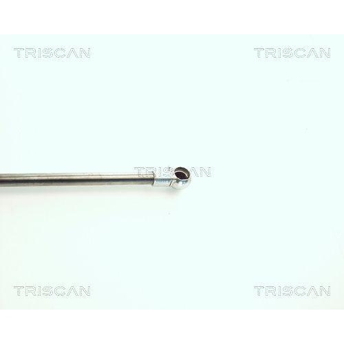 TRISCAN Gasfeder, Koffer-/Laderaum