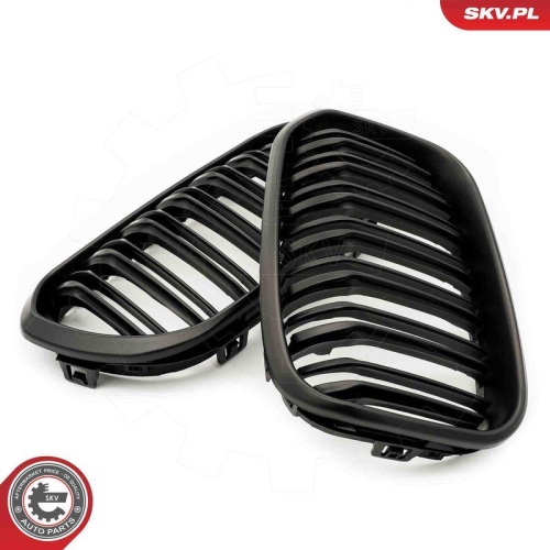 ESEN SKV Kühlergitter