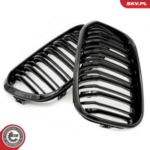 ESEN SKV Kühlergitter