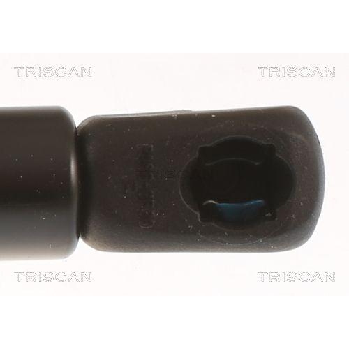 TRISCAN Gasfeder, Koffer-/Laderaum 8710 67217