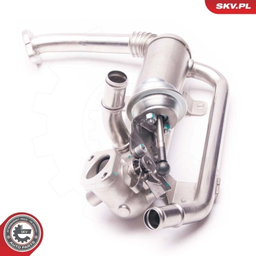 ESEN SKV AGR-Ventil 14SKV118