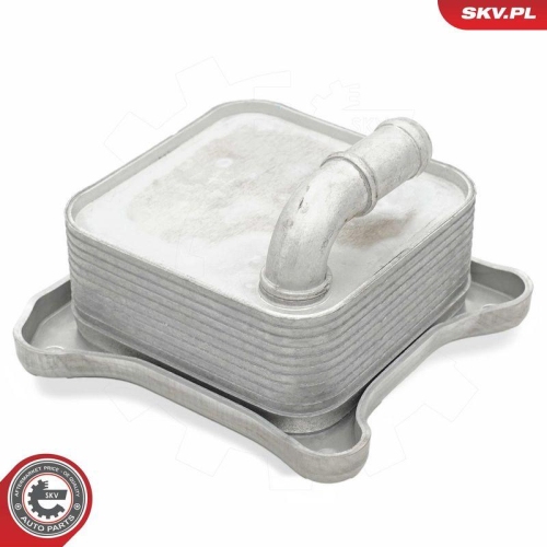 ESEN SKV &Ouml;lk&uuml;hler, Motor&ouml;l 31SKV289