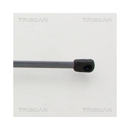 TRISCAN Gasfeder, Koffer-/Laderaum