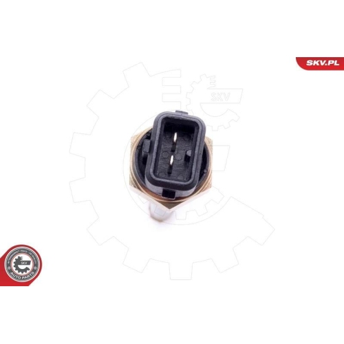 ESEN SKV Sensor, Motor&ouml;lstand