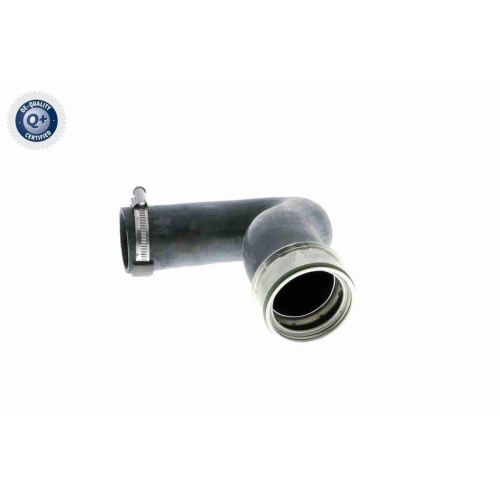 VAICO Ladeluftschlauch Q+, Erstausrüsterqualität