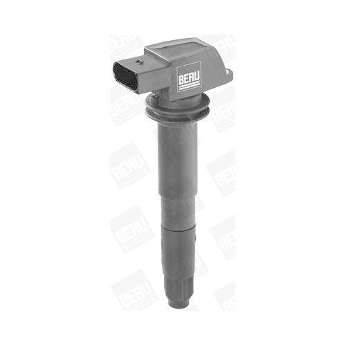 BorgWarner (BERU) Z&uuml;ndspule ZSE054