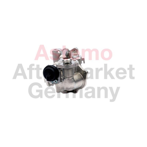 ASTEMO K&uuml;hler, Abgasr&uuml;ckf&uuml;hrung 2505994