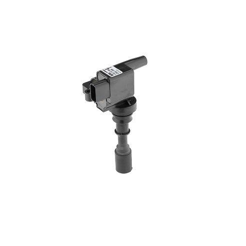 BorgWarner (BERU) Z&uuml;ndspule ZSE086