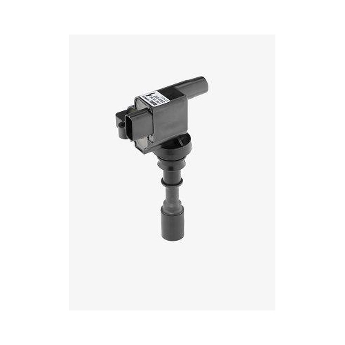 BorgWarner (BERU) Z&uuml;ndspule ZSE087