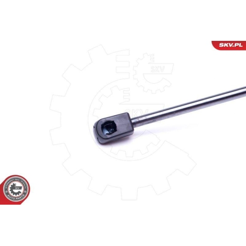 ESEN SKV Gasfeder, Koffer-/Laderaum