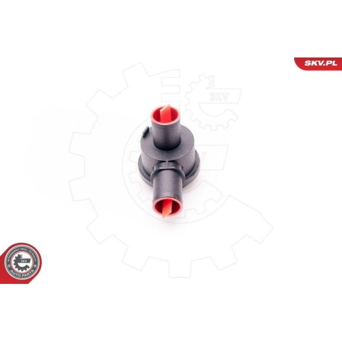 ESEN SKV Ventil, Kurbelgehäuseentlüftung 31SKV014