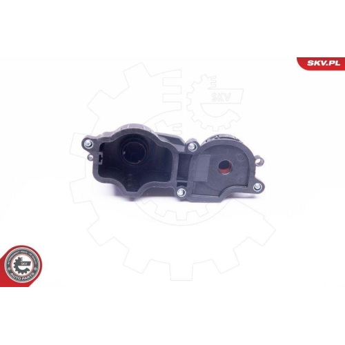 ESEN SKV Ventil, Kurbelgehäuseentlüftung 31SKV034