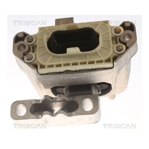 TRISCAN Lagerung, Motor