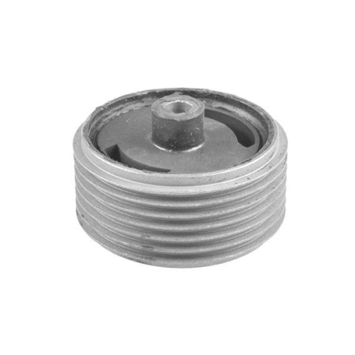 TEDGUM Lagerung, Motor