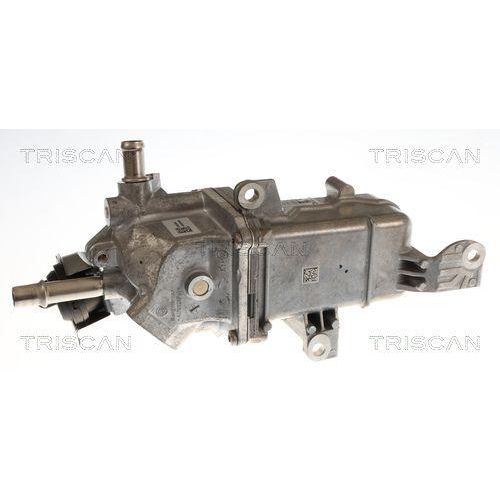 TRISCAN AGR-Ventil 8813 25048