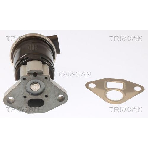 TRISCAN AGR-Ventil 8813 40003