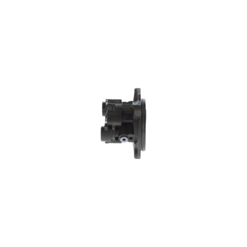 BOSCH Kraftstoffpumpe 0 440 020 114