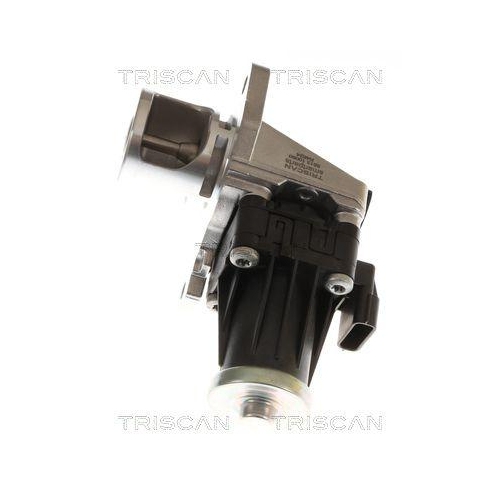 TRISCAN AGR-Ventil 8813 10060
