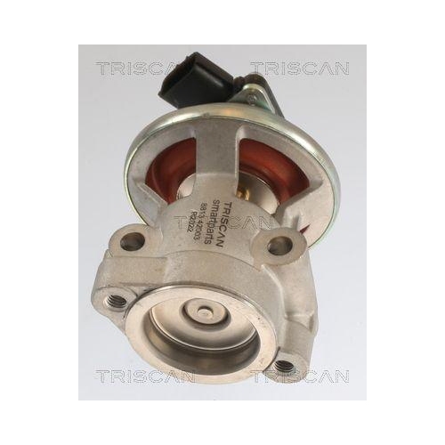 TRISCAN AGR-Ventil 8813 42003