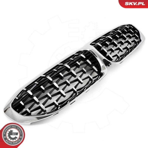 ESEN SKV Kühlergitter