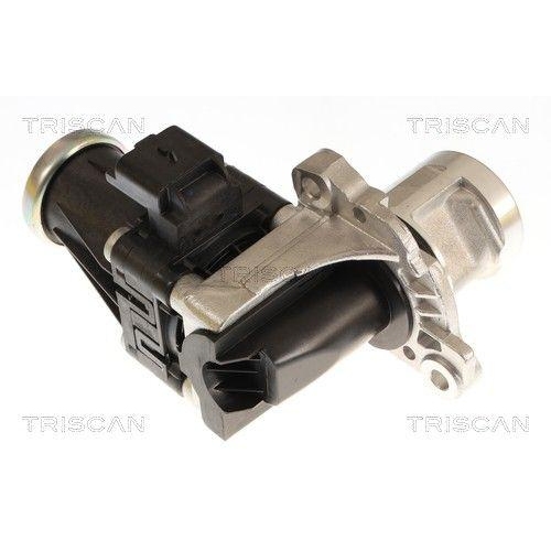 TRISCAN AGR-Ventil 8813 16074