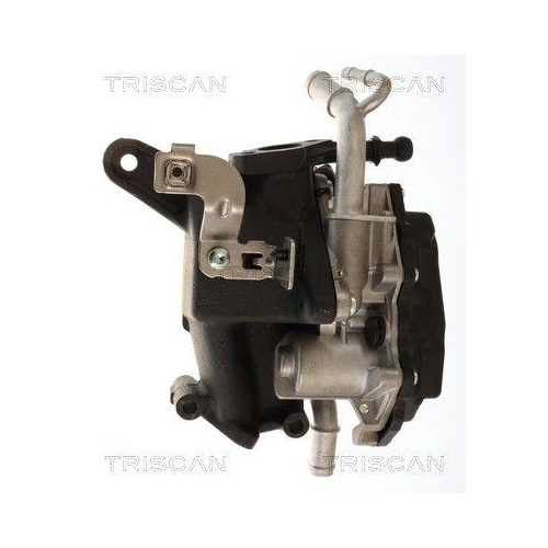 TRISCAN AGR-Ventil 8813 29118