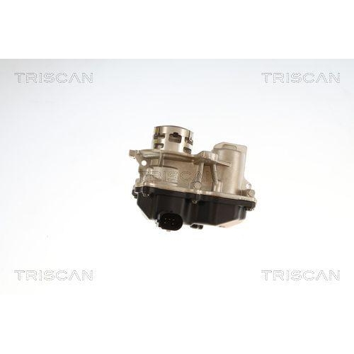 TRISCAN AGR-Ventil 8813 29119