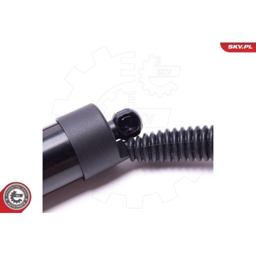 ESEN SKV Elektromotor, Heckklappe