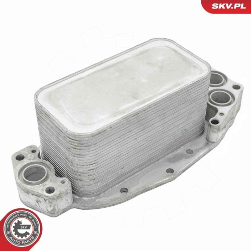 ESEN SKV &Ouml;lk&uuml;hler, Motor&ouml;l