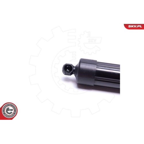 ESEN SKV Elektromotor, Heckklappe