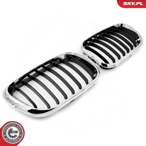 ESEN SKV Kühlergitter