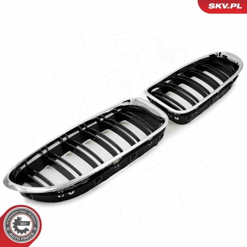 ESEN SKV Kühlergitter