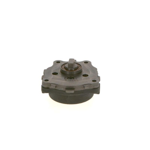 BOSCH Kraftstoffpumpe 0 440 050 010