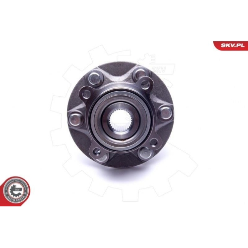 ESEN SKV Radlagersatz