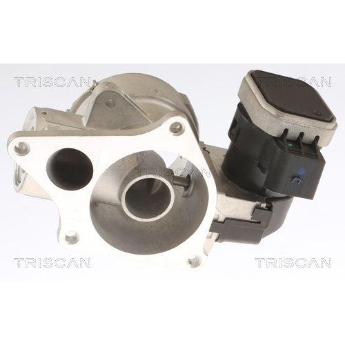 TRISCAN AGR-Ventil 8813 23033