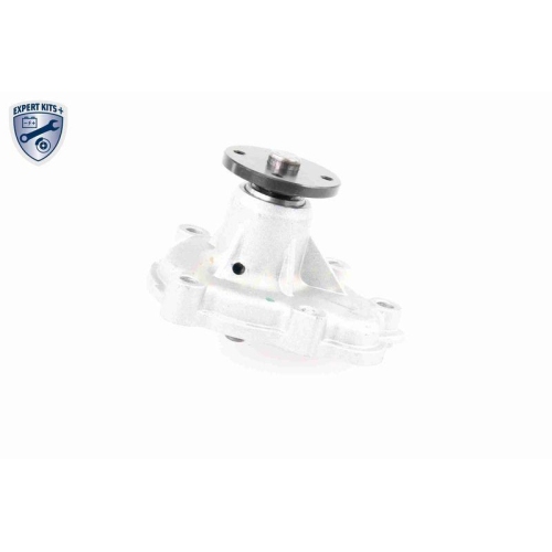 VAICO Wasserpumpe, Motork&uuml;hlung EXPERT KITS +