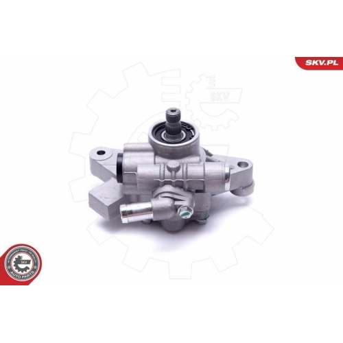 ESEN SKV Hydraulikpumpe, Lenkung