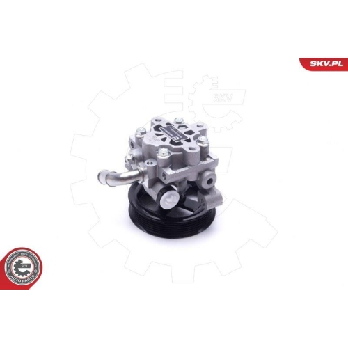 ESEN SKV Hydraulikpumpe, Lenkung