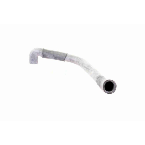 VAICO Kühlerschlauch Original VAICO Qualität V30-1621