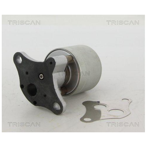 TRISCAN AGR-Ventil 8813 24004