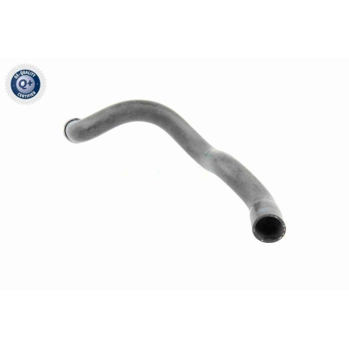 VAICO Kühlerschlauch Q+, Erstausrüsterqualität V30-1663