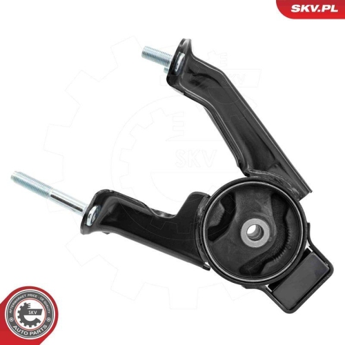 ESEN SKV Lagerung, Motor