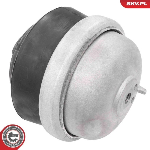 ESEN SKV Lagerung, Motor